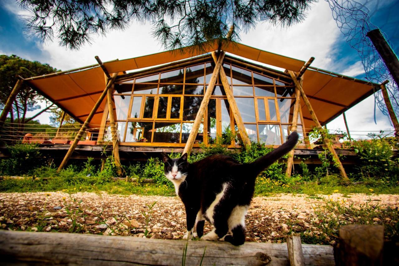 Quinta Alma - Ecological Retreat Farm Hotel Aljezur Exterior photo